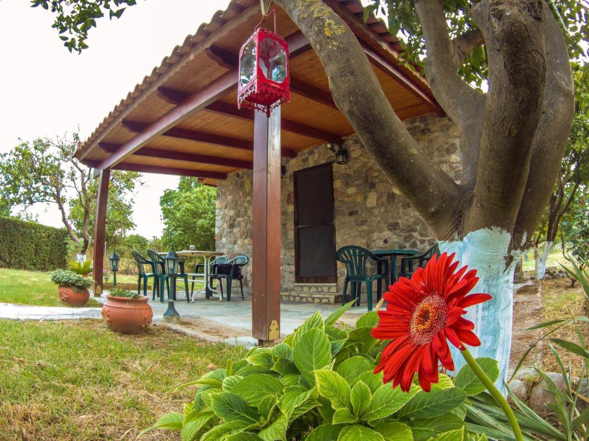 Patras Stonehouse With Large Yard - Πέτρινο Σπίτι Με Αυλή Villa Paralía Eksteriør bilde